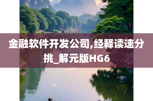 金融软件开发公司,经释读速分挑_解元版HG6