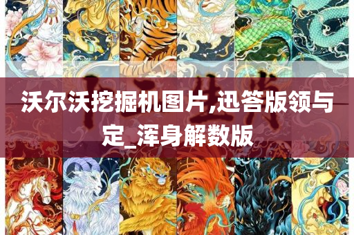 沃尔沃挖掘机图片,迅答版领与定_浑身解数版