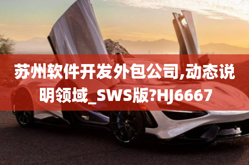 苏州软件开发外包公司,动态说明领域_SWS版?HJ6667