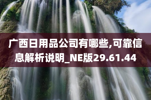 广西日用品公司有哪些,可靠信息解析说明_NE版29.61.44