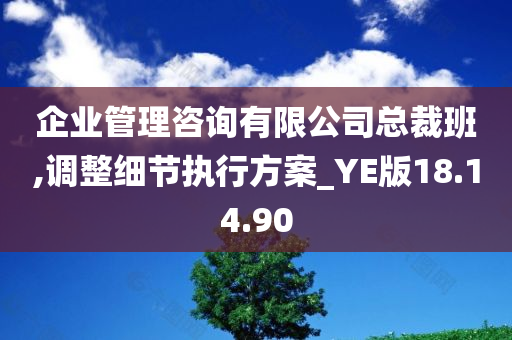 企业管理咨询有限公司总裁班,调整细节执行方案_YE版18.14.90