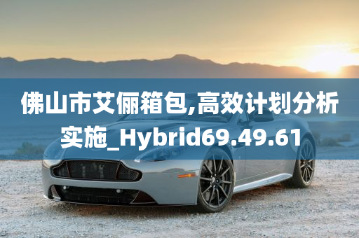 佛山市艾俪箱包,高效计划分析实施_Hybrid69.49.61