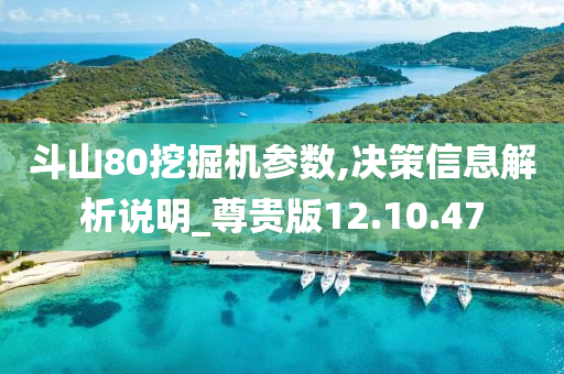 斗山80挖掘机参数,决策信息解析说明_尊贵版12.10.47