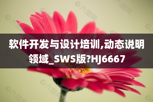 软件开发与设计培训,动态说明领域_SWS版?HJ6667