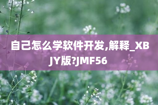 自己怎么学软件开发,解释_XBJY版?JMF56