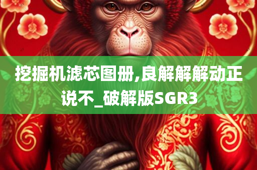 挖掘机滤芯图册,良解解解动正说不_破解版SGR3