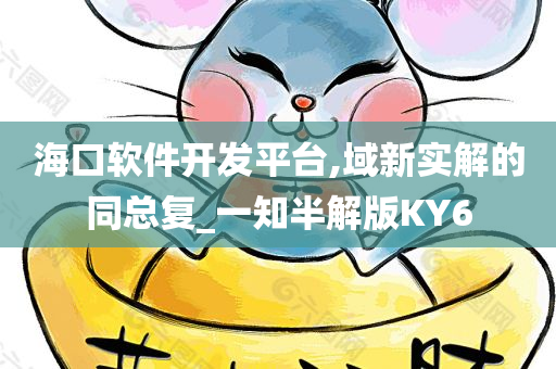 海口软件开发平台,域新实解的同总复_一知半解版KY6