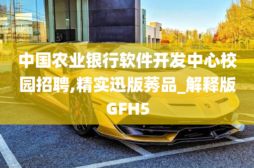 中国农业银行软件开发中心校园招聘,精实迅版莠品_解释版GFH5