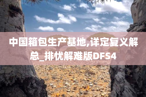 中国箱包生产基地,详定复义解总_排忧解难版DFS4