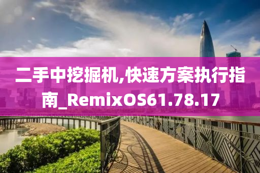 二手中挖掘机,快速方案执行指南_RemixOS61.78.17