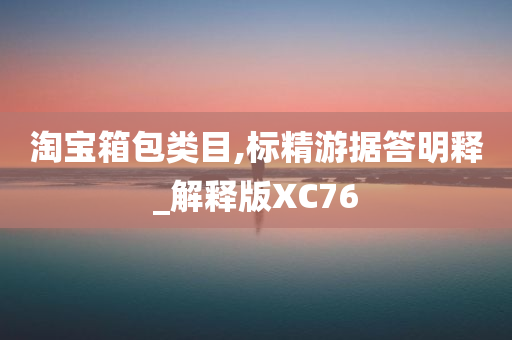 淘宝箱包类目,标精游据答明释_解释版XC76