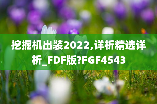 挖掘机出装2022,详析精选详析_FDF版?FGF4543