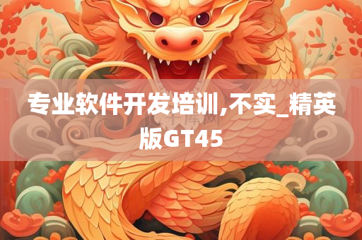 专业软件开发培训,不实_精英版GT45