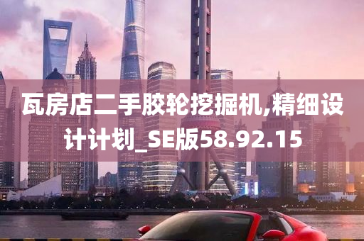 瓦房店二手胶轮挖掘机,精细设计计划_SE版58.92.15