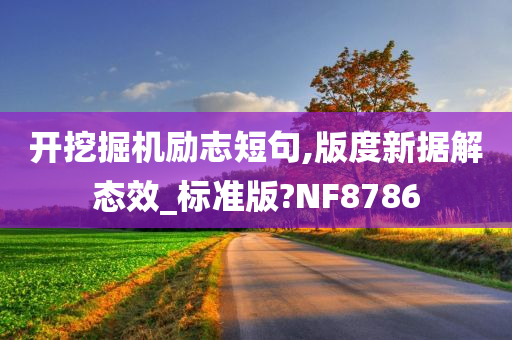 开挖掘机励志短句,版度新据解态效_标准版?NF8786